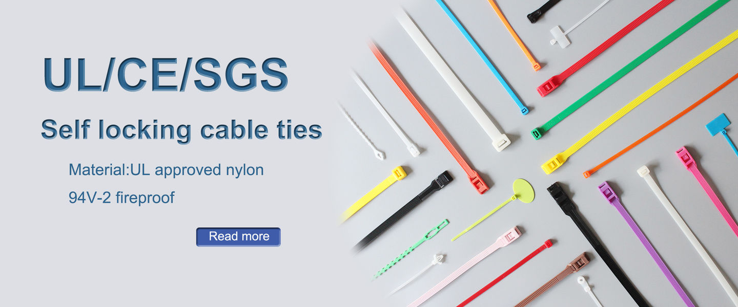 China best Standard single loop nylon cable ties on sales