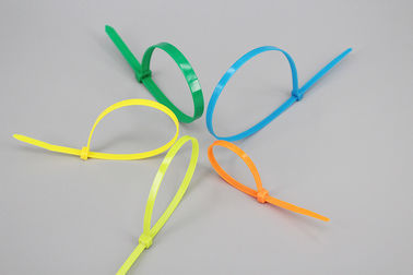 China DM-4*100mm DEMOELE famous nylon self locking cable ties supplier